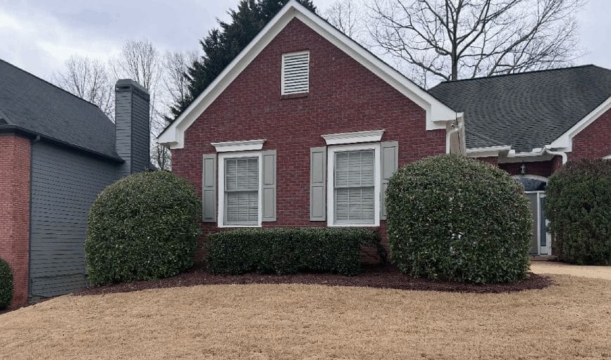 Hedge Trimming