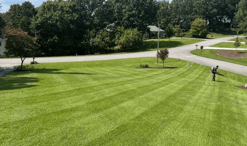 Lawn Mowing